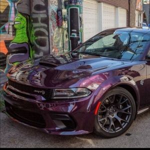 Meet your Posher, Josue